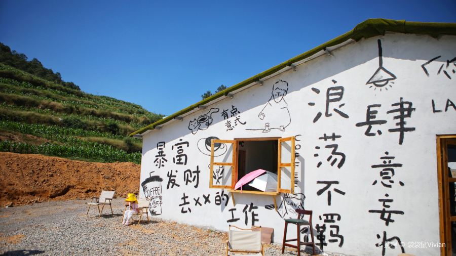 在发呆·lan's浪肆咖啡庄园