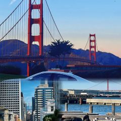 Tatte Bakery & Cafe User Photo