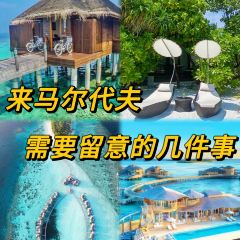 阿雅達島歡歌笑語餐廳張用戶圖片