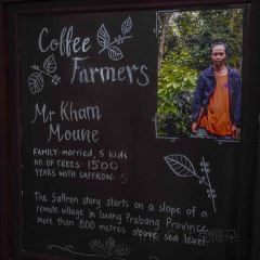 Saffron Coffee's Espresso, Brew Bar, & Roastery User Photo