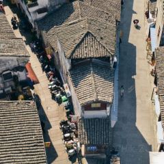 閩東霞浦灘涂海鮮張用戶圖片