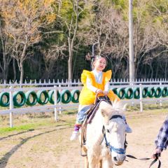 快樂家園•大魚王（南山竹海店）張用戶圖片