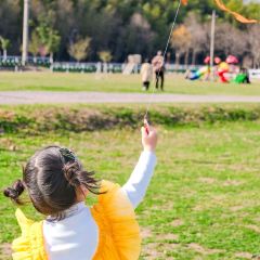 快樂家園•大魚王（南山竹海店）張用戶圖片