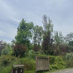 Ahnluh Guantang · All-Day Restaurant User Photo