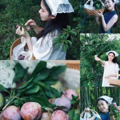 明味生態農莊張用戶圖片