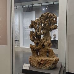 奥灶馆 User Photo