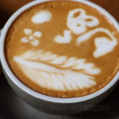 Hide&Seek User Photo