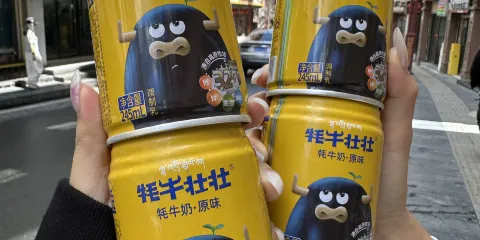 蜀九記·氂牛野菌湯鍋（彩虹橋店）