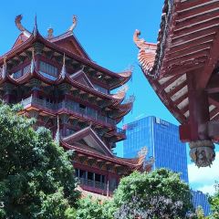 Da Fu Xing Yu Wan (Mei Shi Jie) User Photo