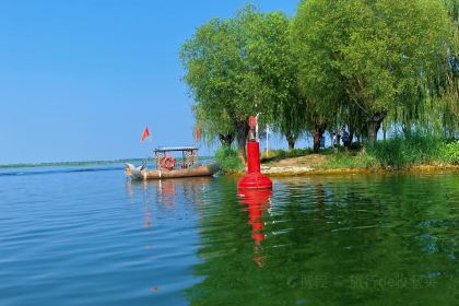 Baiyangdianyufudunza Fish