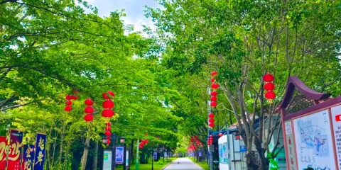 白塘湖公園