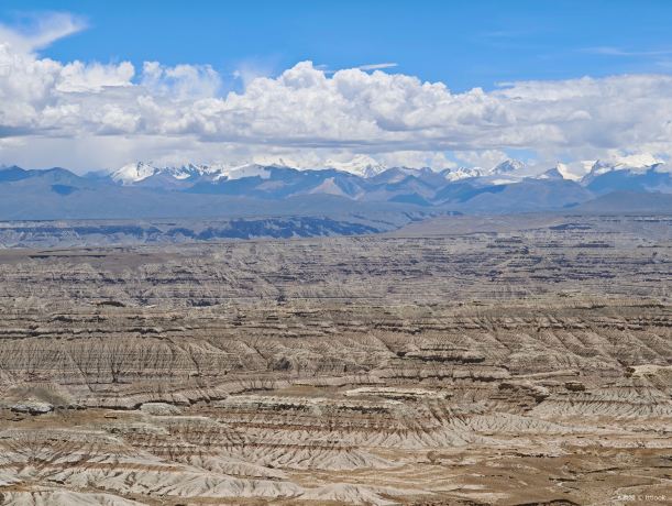Zhada Earth Earth Forest National Geological Park - Ancient Bell Style Forest