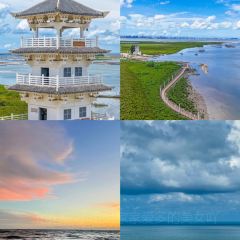 LIN JIA XIAO ZAO User Photo