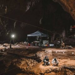 盘州·东湖里·假日酒店(东湖公园银杏广场店)·四季三食 User Photo