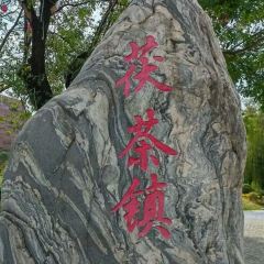 茯茶镇清幽小院 User Photo