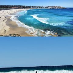 The Coogee Bay Kiosk User Photo