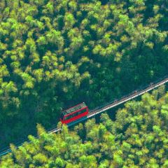 YU YAN LOU User Photo