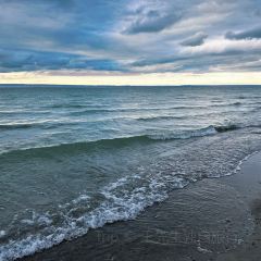 阿勒泰的角落(旅行书吧) User Photo