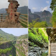 桃花嫂子 User Photo