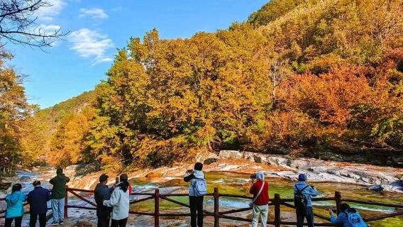 Huangbaiyuan Primeval Forest Scenic Area