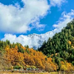阿妈家特色藏餐(九寨沟店) User Photo