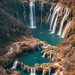 Zhan yi gong shi la zi Chicken (zhan yi) User Photo