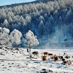 Anda barbecue User Photo