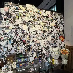 半两·咖啡书店·浮生是杯酒 User Photo