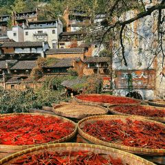 YEXIWANGSHAGUO User Photo