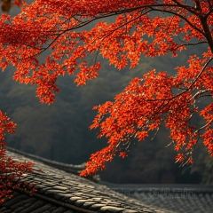 老赵家山西铜火锅烧烤(古城店) User Photo