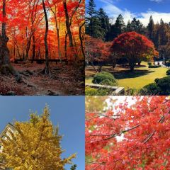 Shanzhongwei Local Restaurant User Photo