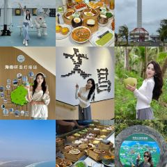 龙华茶园 User Photo