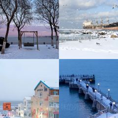 SunshineCafe User Photo