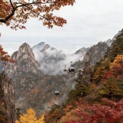 秀嫂挞粿 User Photo