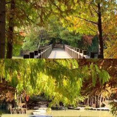 铁锅年代(天台店) User Photo