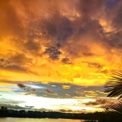 申记臭豆腐煮鱼(五一步行街店) User Photo