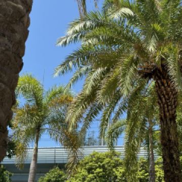 大鍋強·蒸海鮮青島菜（上流滙店）用戶圖片