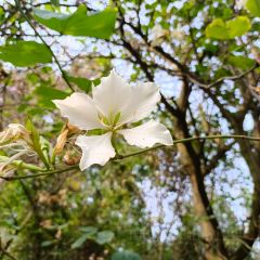 兰溪金熙温泉酒店·墅滋法餐厅 User Photo