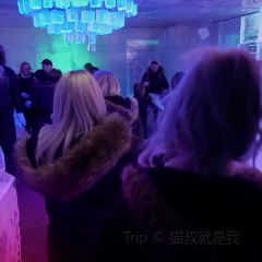 Below Zero Ice Bar User Photo
