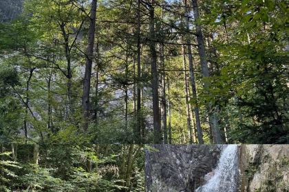 罗田天堂寨吊锅(英山店)