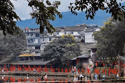 DAO HUA XIANG TU CAI GUAN