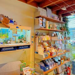 口福湯包館(歐尚店)張用戶圖片