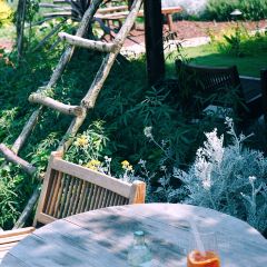 青禾文创田院 User Photo