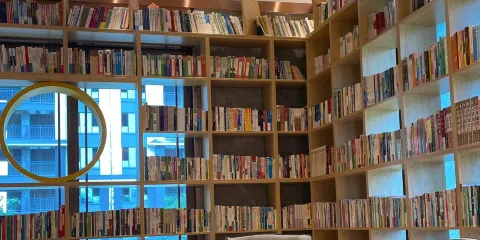 徐福桃花源圖書館