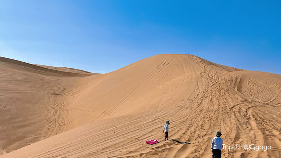 North Star Desert Camp