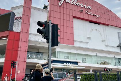 Roast & Coffee - Retro Garden 1968's