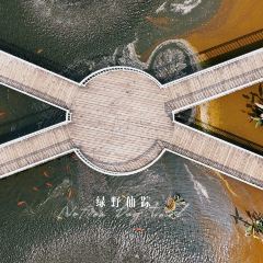 绿野仙踪生态农业园 User Photo