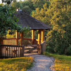 Talk of India User Photo