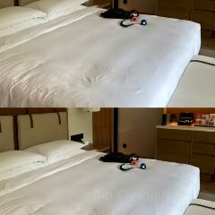 GRAND HYATT SHENZHOU PENINSULA·POOL HOUSE User Photo