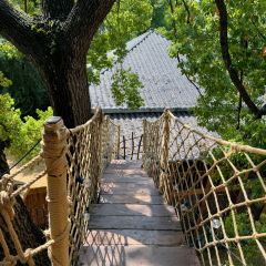 树野融合餐厅 User Photo